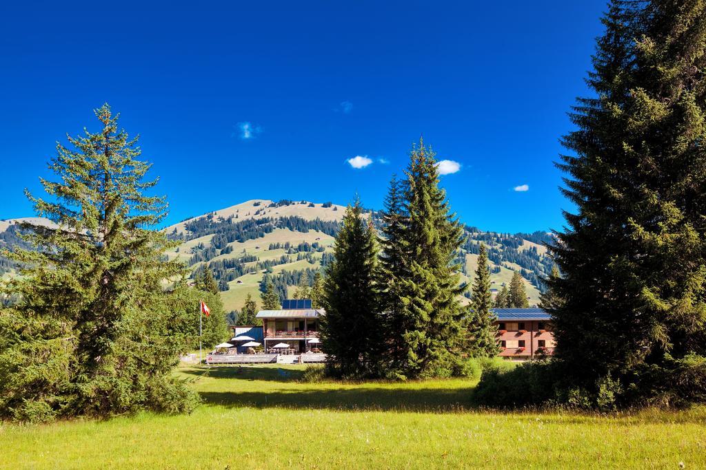 Saanewald Lodge Saanenmöser Eksteriør billede